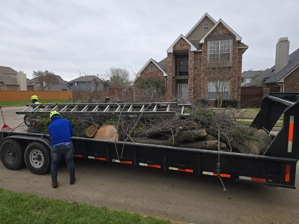 Expert Lot Clearing with proper safety equipment in Hibbs